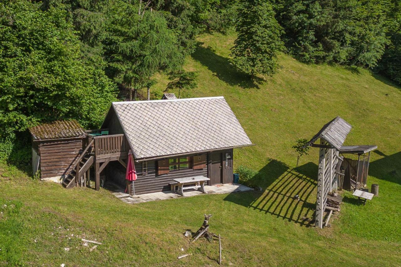 Horská chata House Podgosar Pokljuka *