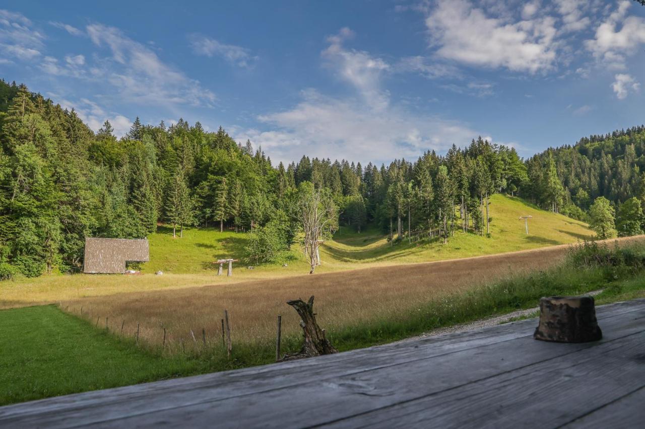 House Podgosar Pokljuka Bled