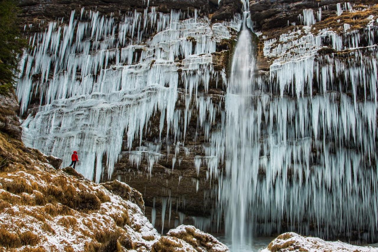 Horská chata House Podgosar Pokljuka Bled