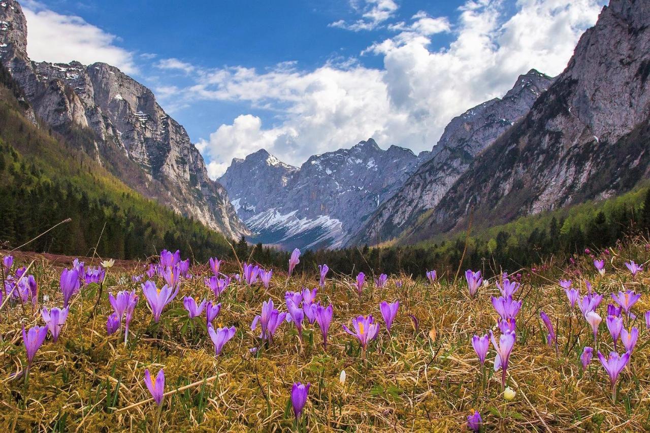 Horská chata House Podgosar Pokljuka