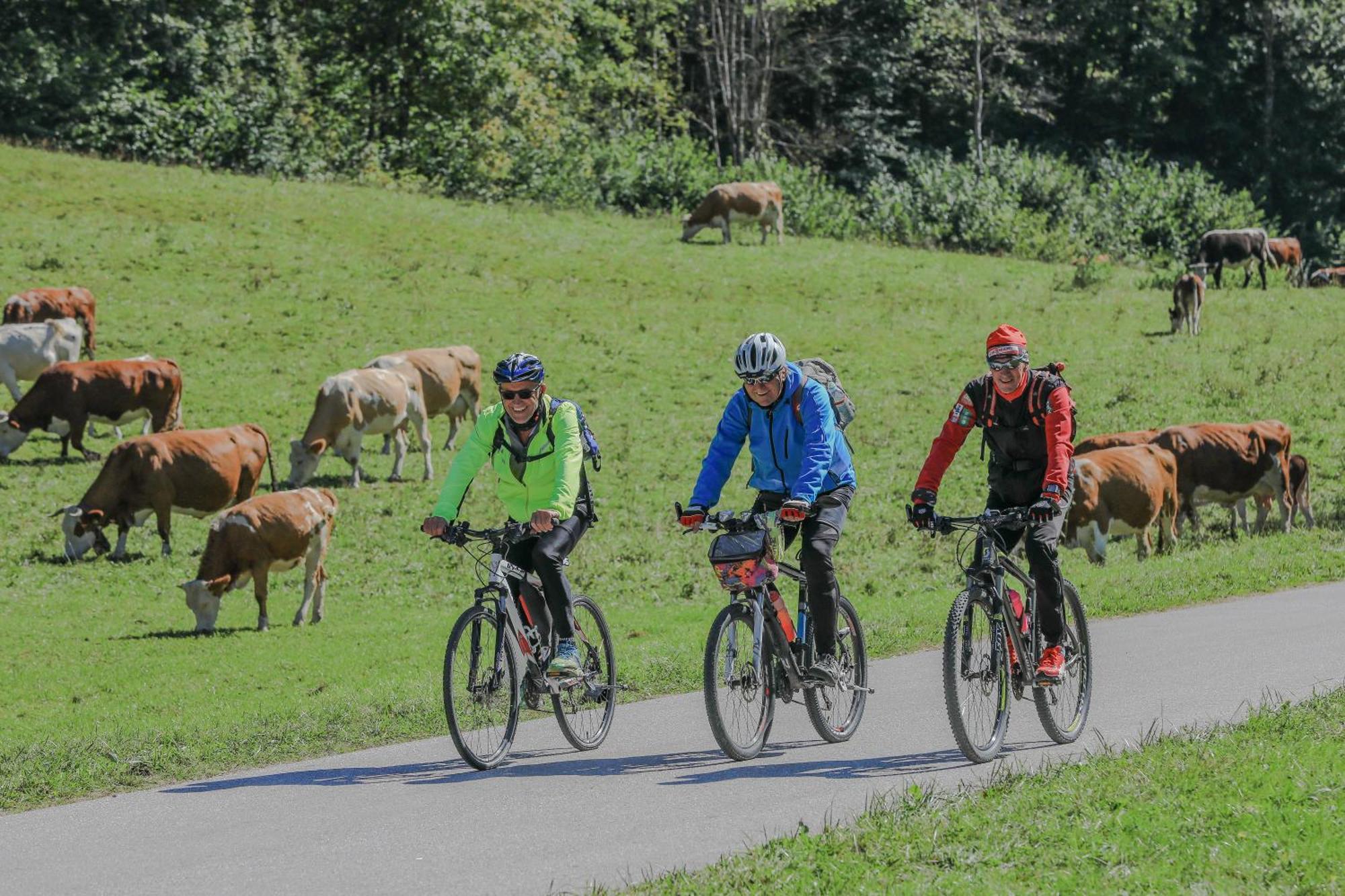 House Podgosar Pokljuka Horská chata *