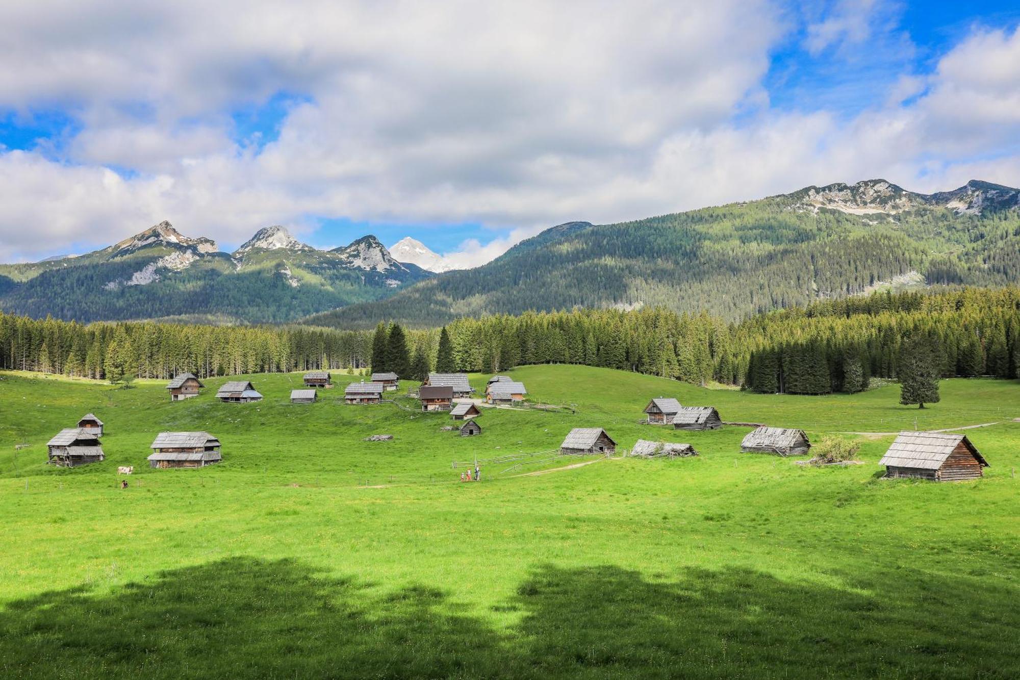 House Podgosar Pokljuka Horská chata Bled